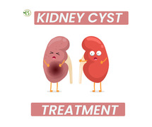 Innovative and State-of-the-Art Kidney Treatment Techniques