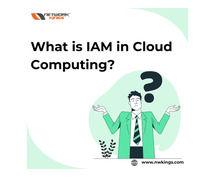What is IAM in Cloud Computing?