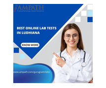Elevate Wellness: Your Guide to the Best Online Lab Tests in Ludhiana