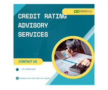 Strategic Credit Insights: Choose the Best in Advisory Services