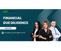 Financial Insight Mastery: Explore Top-tier Due Diligence Services