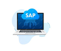 What we offer in our sap fico online course