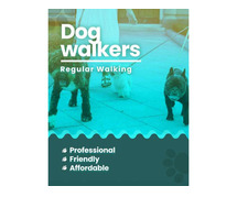 Book Best Dog Walking Service In Chennai at Affordable Price