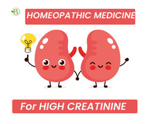 Renal Harmony: Investigating Homeopathic Remedies for Healthy Kidneys