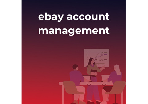 Transforming Operations: Leading Services for Enhanced eBay Account Management