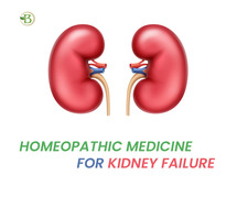 Rejuvenate Your Kidneys: Homeopathic Treatment for Healthy Renal Function