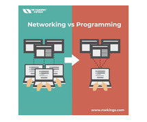 Networking vs Programming - Network kings