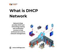What is DHCP Network - Network Kings