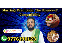 Marriage Prediction: The Science of Compatibility