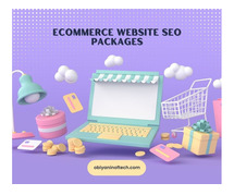 What are the Best SEO Packages for Ecommerce Websites?