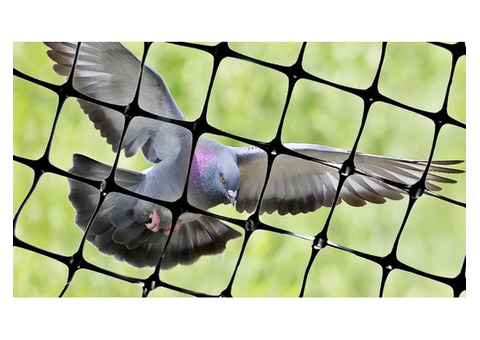 Pigeon Safety Nets in Bangalore - Jos Safety Nets Ensuring Peace of Mind