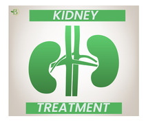 Realities of Renal Disease: An Overview