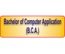 Best BCA College in Delhi NCR