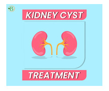Protectors of Life: Promoting Renal Health