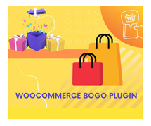 Best WooCommerce Buy One Get One Free Plugin