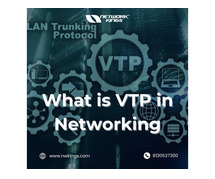 What is VTP in Networking - Network Kings