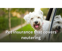 Pet insurance that covers neutering
