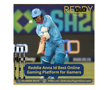 Reddy Anna Bookie for Cricket Betting and All Other Betting Options