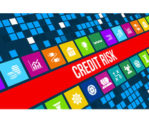 Credit Report for Business