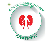 Homeopathy for Renewal: All-Natural Kidney Care Options