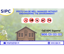 Pest Control Services in Bangalore