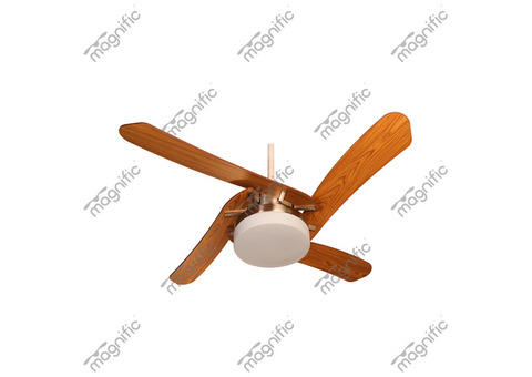 Buy Designer fans With Light In Magnific Home Appliances.