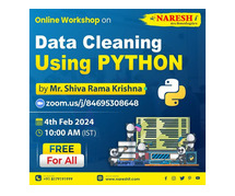 Free Workshop on Data Cleaning using Python