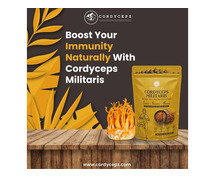 "Premium Cordyceps Supplements for Optimal Health | Your Trusted Protein Powder Store Near Me"