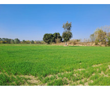 Cultivate Abundance & Wellbeing - Agricultural Land for Sale in Bangalore in Anugraha Farms