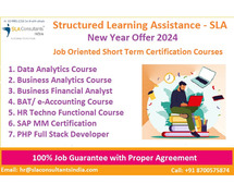 Best Business Analyst Course in Delhi,  and Gurgaon  [100% Job, Update New Skill in '24]