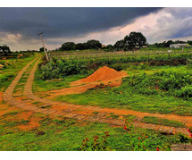 Farmland Bliss Awaits - Buy Farmland Near Bangalore with Anugraha Farms.