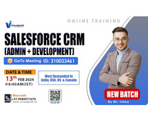 SalesForce CRM Online New Batch