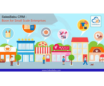 SalesBabu CRM : Boon for Small Scale Enterprises