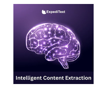 Effortless Insight: Intelligent Content Extraction