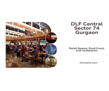 DLF Central Sector 74 Gurgaon | Experience you need. Results you want