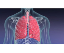 Natural Way to Enhance Lungs Capacity