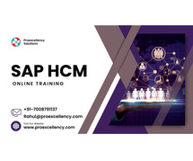 SAP HCM Online Training: Gain the Skills and Knowledge You Need to Succeed