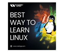 Learn Linux with Network Kings
