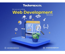 TechAMSDigital  Website Design Company India
