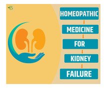 Exploring Homeopathic Remedies for Kidney Health in Renal Restoration