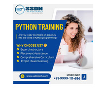 best python training in delhi