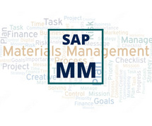 Train Your SAP MM Online Skills with Sdklearnings