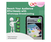 Streamlined WhatsApp Broadcast Messaging