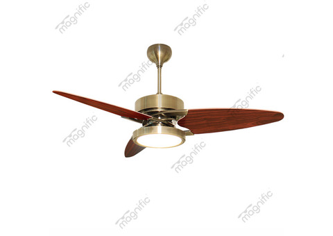 Upgrading Your Home Decor with Designer Fans with Lights at Magnific Home Appliances