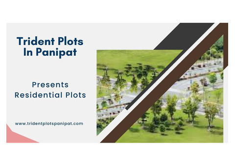 Trident Plots In Panipat
