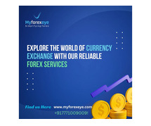 Explore the world of currency exchange with our reliable forex services!