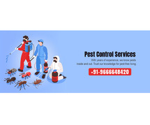 Pest Control Services in Hyderabad