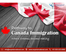 Seamless Immigration Solutions with WVP International