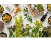 India’s Top 10 Home Made Herb Medicine In 2024