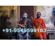 Get My Ex Back By Astrologer Specialties Baba Ji +91-9549599183